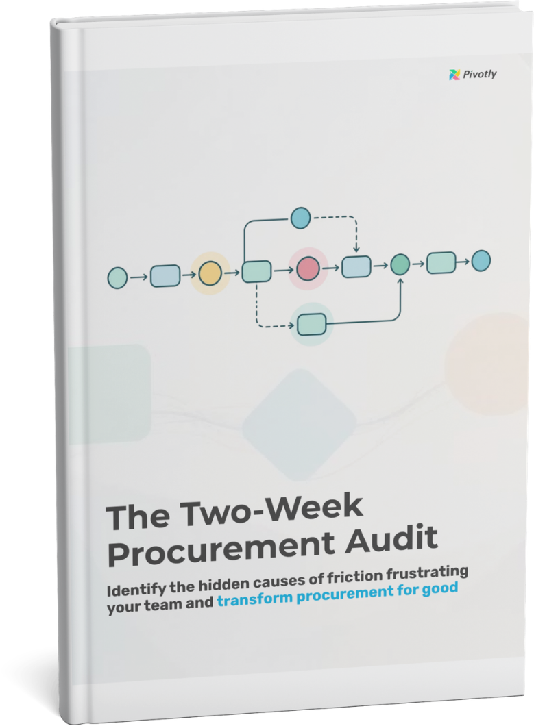 Two-Week Procurement Audit